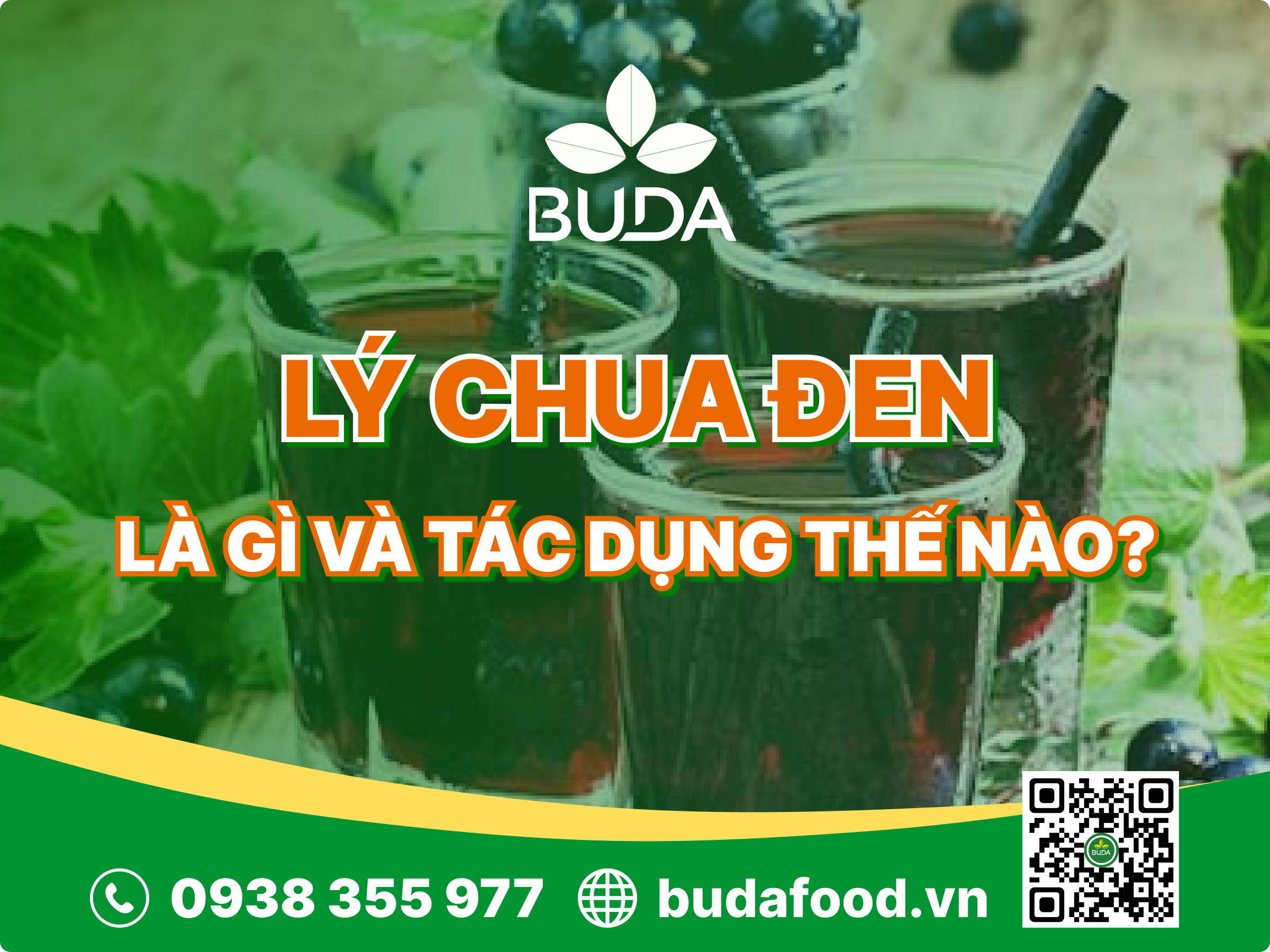 Quả lý chua đen là gì? Tác dụng của quả lý chua đen?