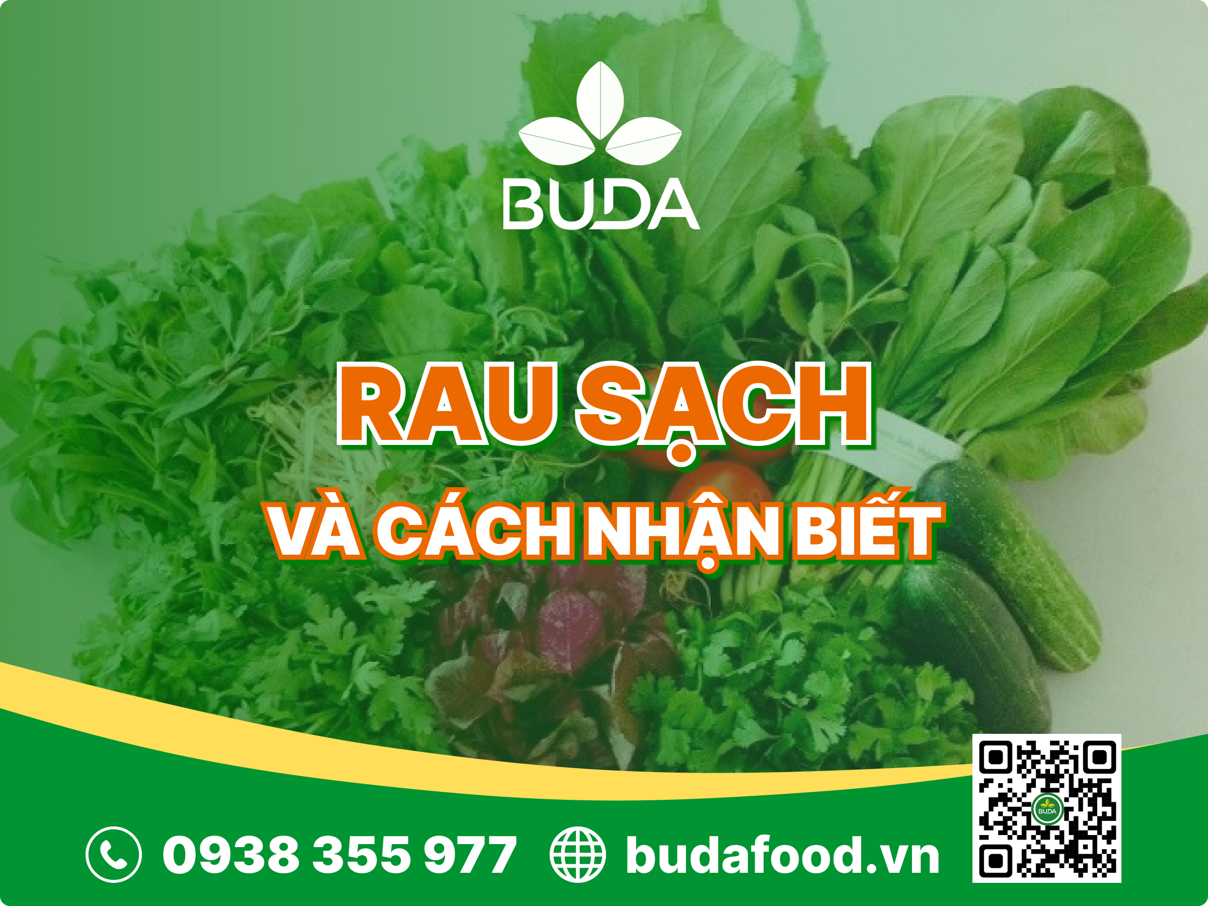 Rau sạch là gì? Cách nhận biết rau sạch