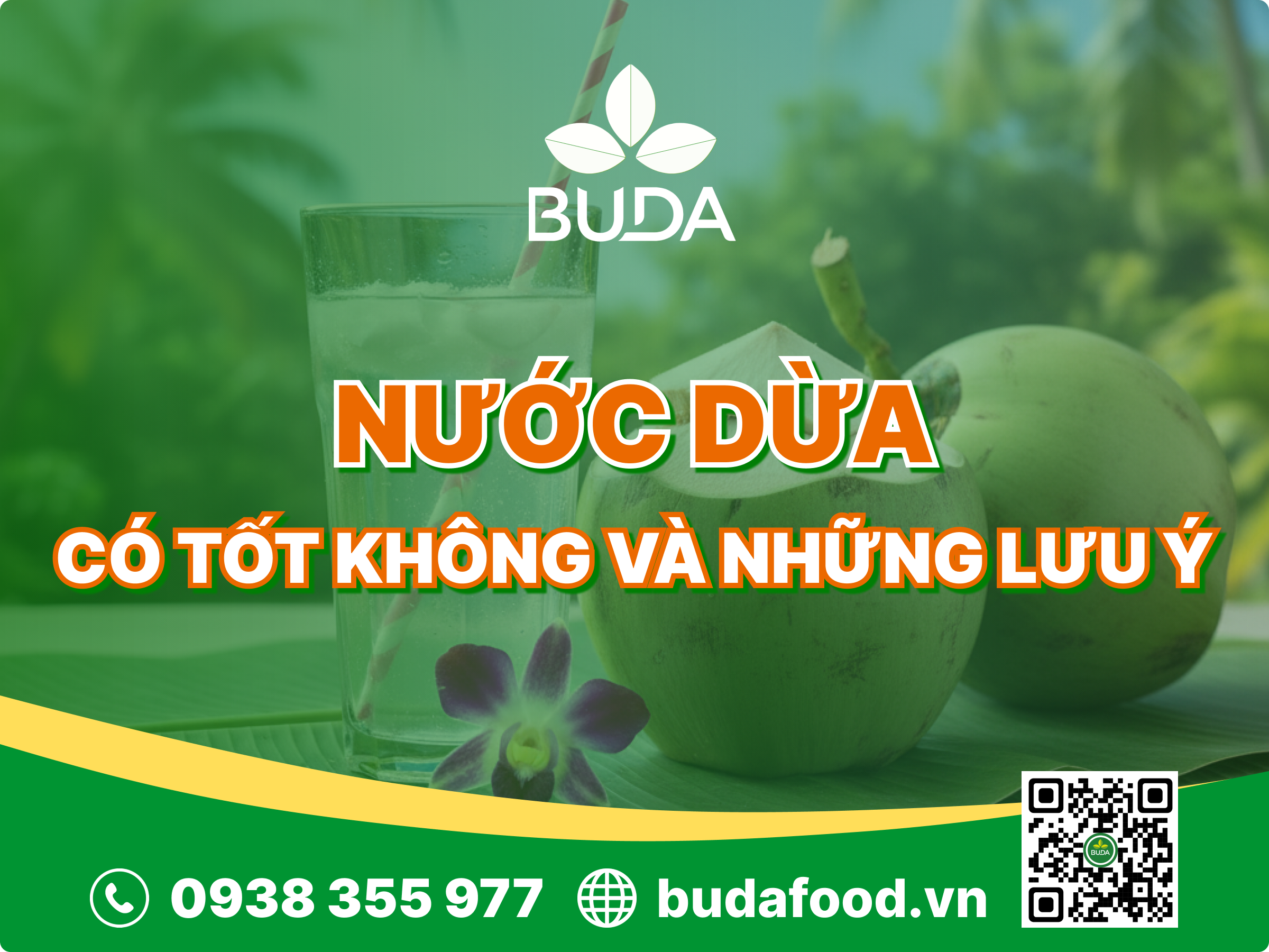Uống nước dừa có tốt không? Những điều cần lưu ý