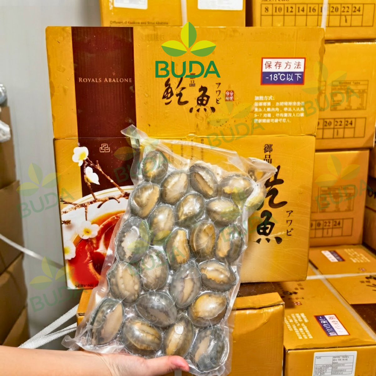 Bào Ngư 22 con/kg Nguyên Vỏ Đông Lạnh Royals Abalone 1Kg/gói NET 5.5 - Cung cấp sỉ & lẻ từ 1 thùng LIÊN HỆ TRỰC TIẾP