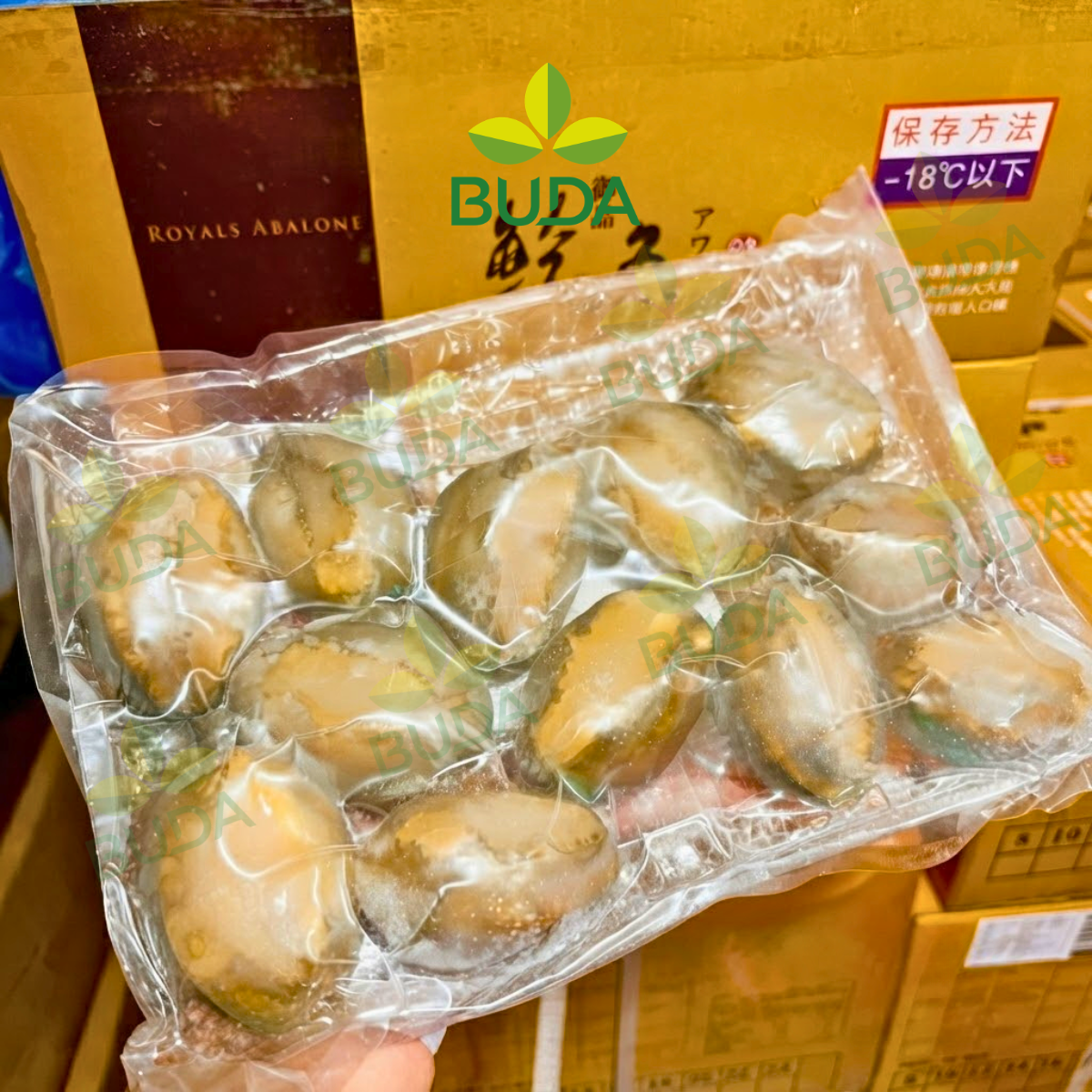 Bào Ngư 12 con/kg Nguyên Vỏ Đông Lạnh Royals Abalone 1Kg/gói NET 5.5 - Cung cấp sỉ & lẻ từ 1 thùng LIÊN HỆ TRỰC TIẾP