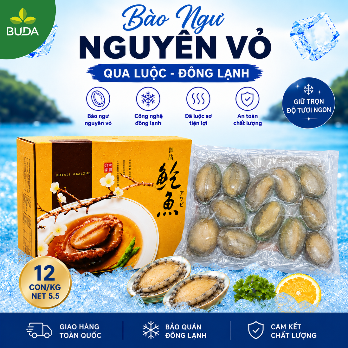 Bào Ngư 12 con/kg Nguyên Vỏ Đông Lạnh Royals Abalone 1Kg/gói NET 5.5 - Cung cấp sỉ & lẻ từ 1 thùng LIÊN HỆ TRỰC TIẾP