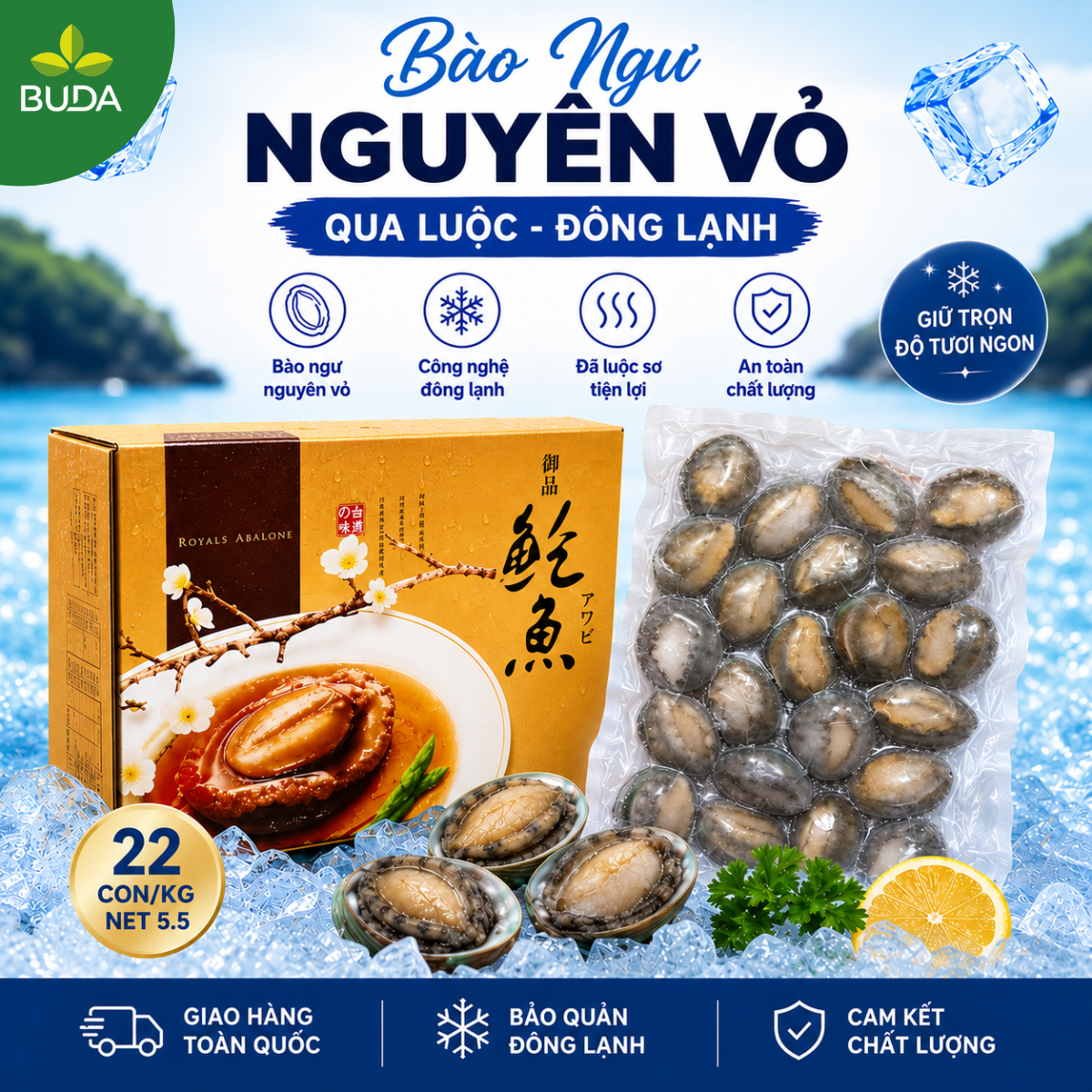 Bào Ngư 22 con/kg Nguyên Vỏ Đông Lạnh Royals Abalone 1Kg/gói NET 5.5 - Cung cấp sỉ & lẻ từ 1 thùng LIÊN HỆ TRỰC TIẾP
